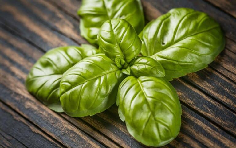 Te 2 składniki, które każdy ma w kuchni, sprawią, że Twoja bazylia będzie rosła szybciej i lepiej